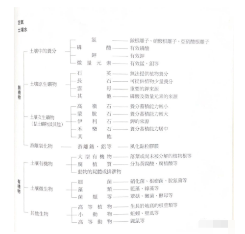 土壤的构成及何谓地力