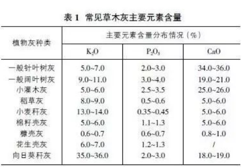 厉害了！“草木灰”原来有这么多用处！