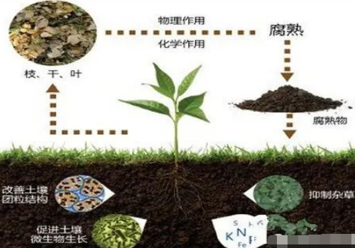 土壤有机质对土壤肥力的七大作用