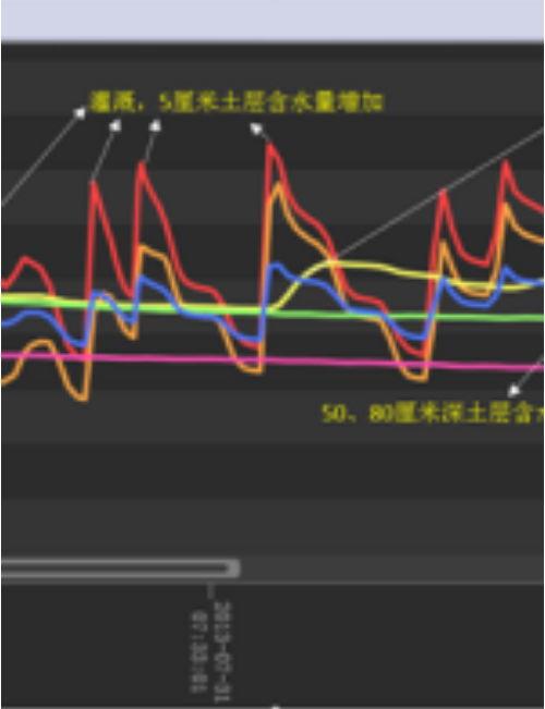 科学种植丨土壤水分如何影响作物生长？