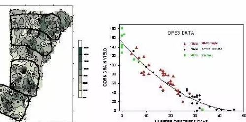 科学种植丨土壤水分如何影响作物生长？