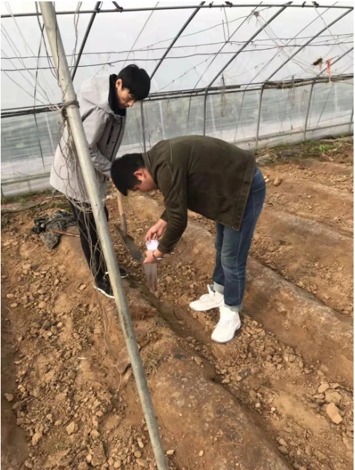 微生物转化土壤有机质的过程