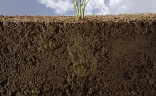 土壤空气有什么特点？它是如何影响作物生长的？