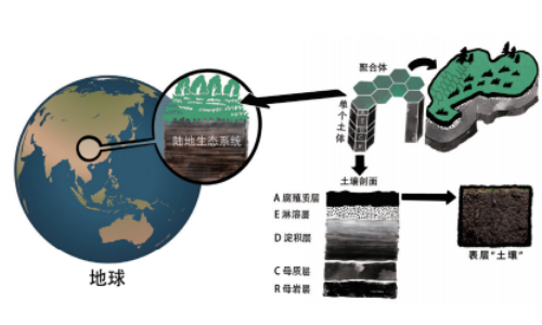 土壤的基本知识