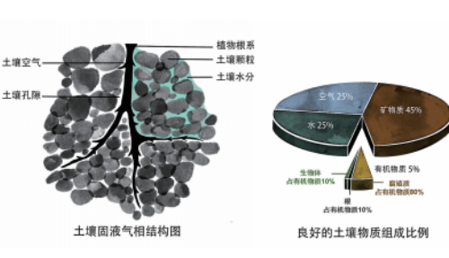土壤的基本知识