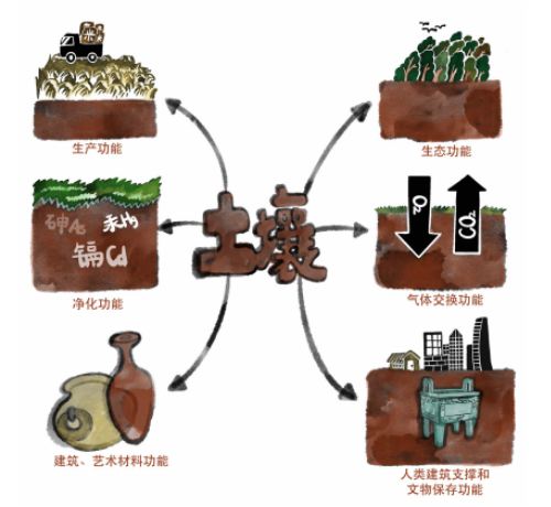 土壤的基本知识