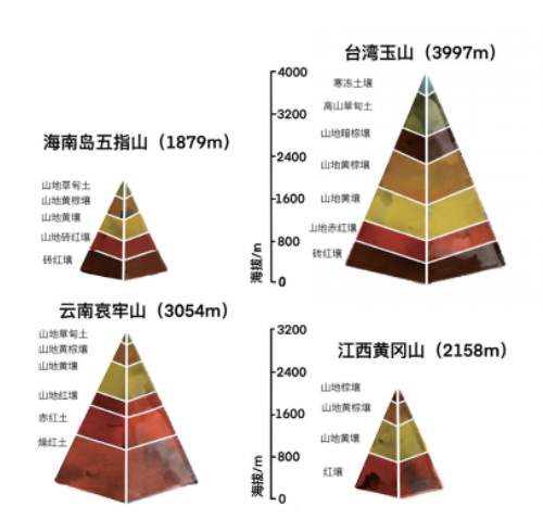 土壤的基本知识