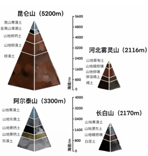 土壤的基本知识