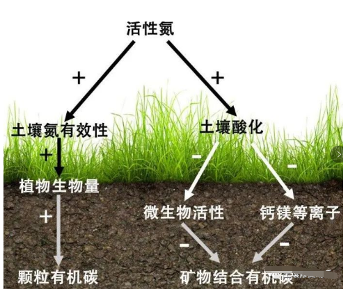 土壤变色原因及补救办法