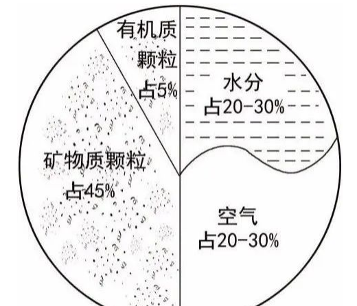 01  土壤的基本结构  土壤是由固体、液体、气体三种状态物质组成的疏松多孔结构，具有给植物生长发育提供养分