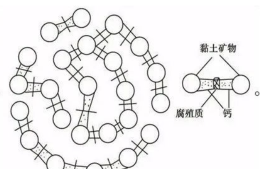 01  土壤的基本结构  土壤是由固体、液体、气体三种状态物质组成的疏松多孔结构，具有给植物生长发育提供养分