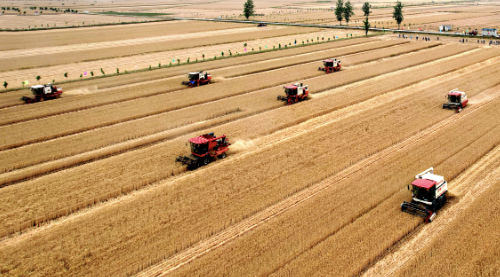近日，国务院常务会议对高标准农田建设做出重要批示：坚持藏粮于地、藏粮于技，大力推进高标准农田建设，为