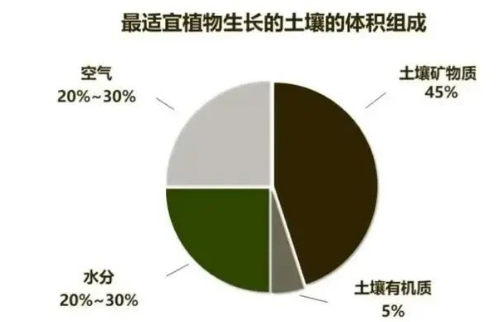 土壤肥力如何提高？