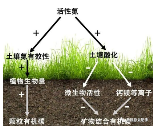 土壤“变色”原因及补救办法！