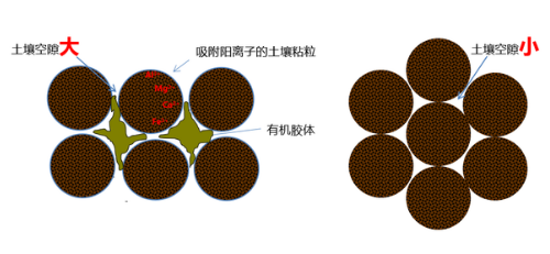 土壤中大孔小孔比例多少适合种植？土壤孔隙你了解多少？