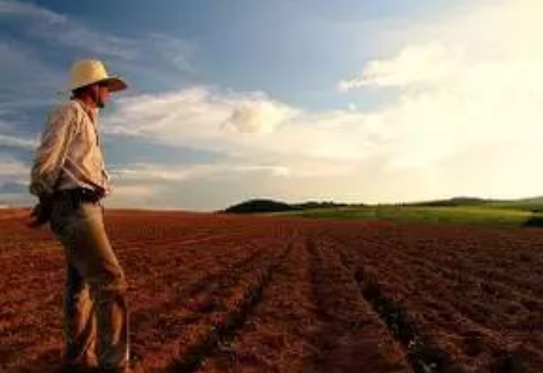 农田常见的十种土壤病