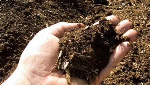 土壤自然肥力有多大？