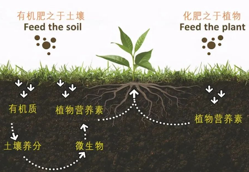 改良土壤，你不做，我也不做，那谁来做？”