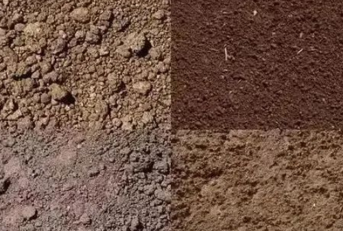 土壤颜色也能发生变化？请注意，这是出现大问题了！