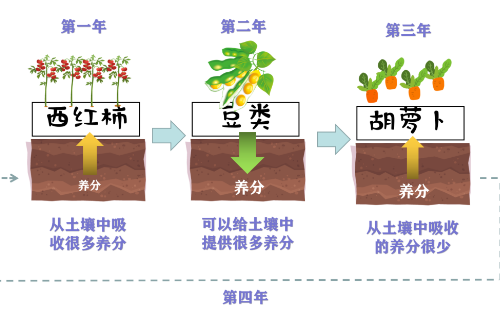 土壤系列科普四：不同种植方式对土壤的作用和影响
