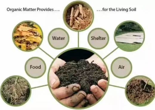 如何才能提高土壤肥力？这篇文章说的太好了！