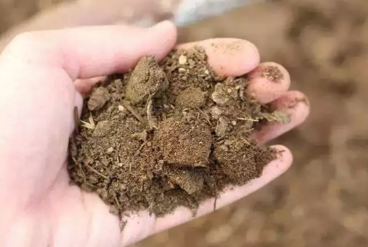 土壤问题这么严重了？你是不是会有这样的疑问？