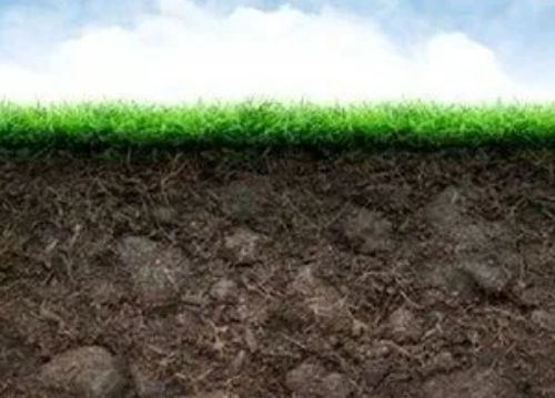 土壤空气对农作物的影响，你清楚吗？
