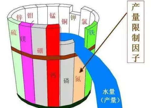 土壤养分的短板-微量元素