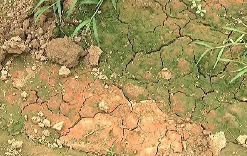 土壤中肥力下降的原因有哪些？如何正确使用化肥