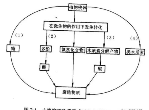 土壤有机质增加与施用有机肥有什么关系？