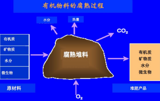 增施有机肥对土壤微生物多样性有哪些影响？