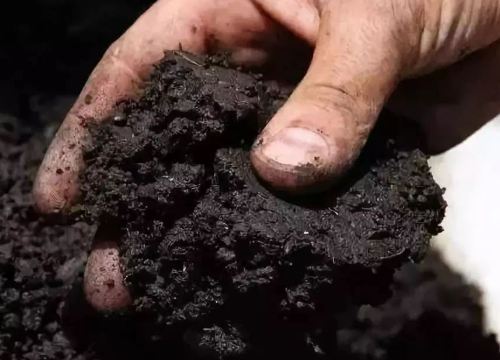 有机肥对土壤的5大作用