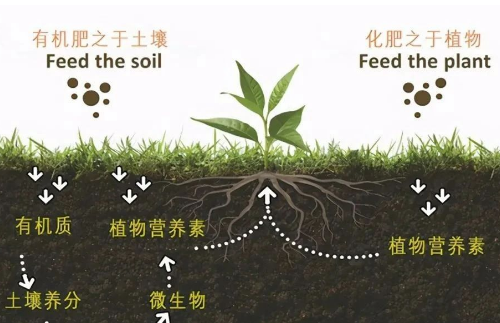 有机肥对土壤的5大作用