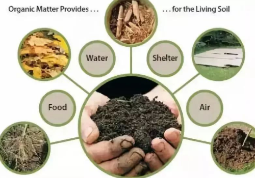 如何有效提高土壤肥力？