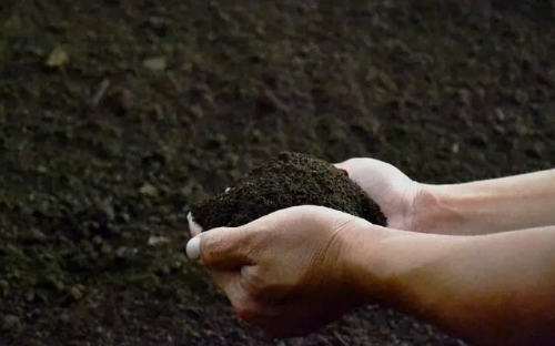 怎样使土壤有机质增加1%?