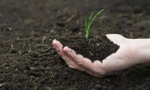 土壤酸化的原因有哪些？