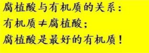 我们的土壤为什么需要有机质和微生物菌肥？