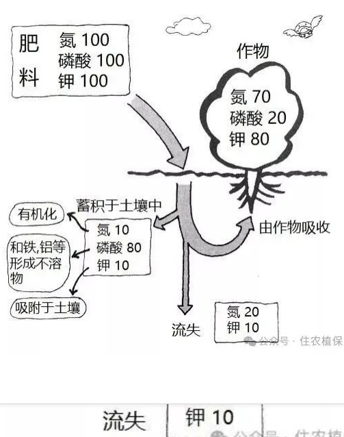 土壤过度施肥造成的障碍