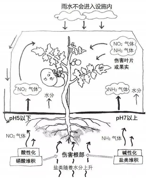 土壤过度施肥造成的障碍