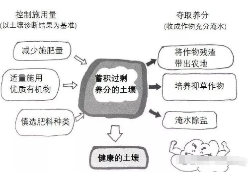 土壤过度施肥造成的障碍