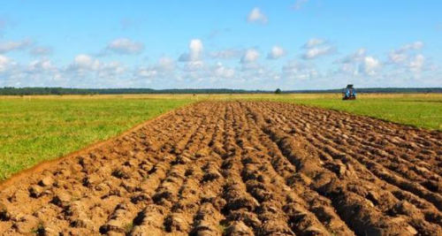 基于模糊综合评价法的耕地土壤肥力损害分级方法