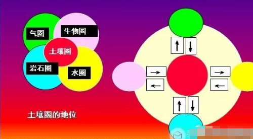 如何科学应用土壤的综合因素，科学测土施肥！