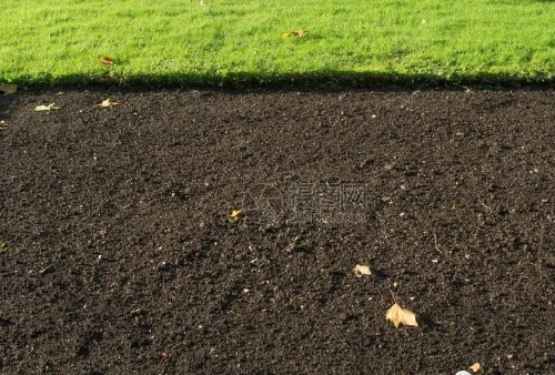 土壤不行，花再多钱都白搭！如何辨别你家地里的土壤肥力