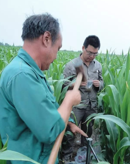 你的土壤是盐土还是碱土？简单实用小技巧→