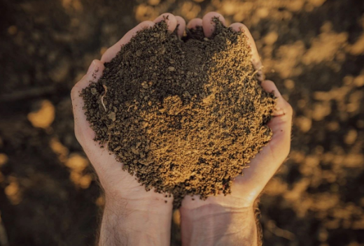 土壤有机质的6大作用