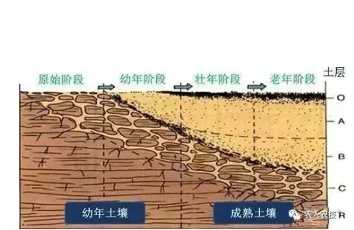 土壤十大病症，看完吓你一跳！