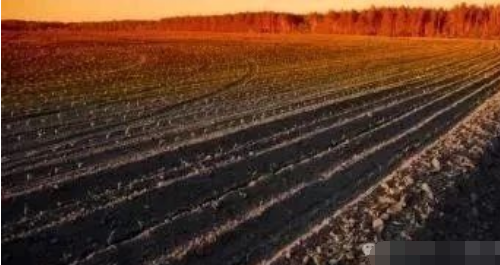 含菌的肥料对土壤有什么好处？