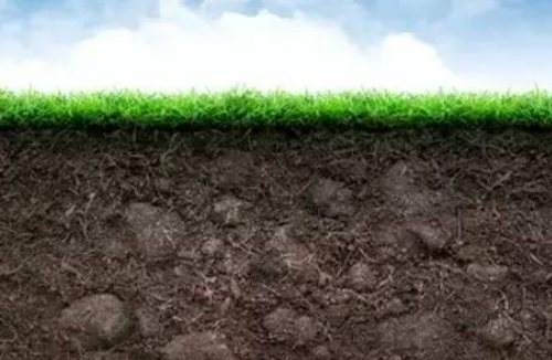 微生物是土壤重要组成部分，那么微生物都在土壤中干些啥？