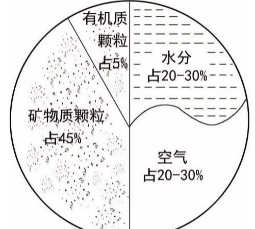 土壤里面学问大，搞不清楚这些别瞎种地！