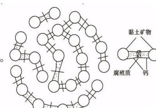 土壤里面学问大，搞不清楚这些别瞎种地！